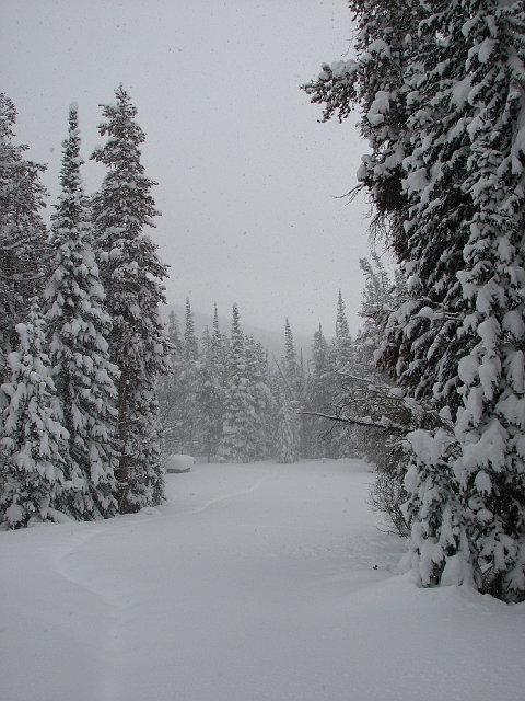 IMG_3200.jpg - Lots of snow