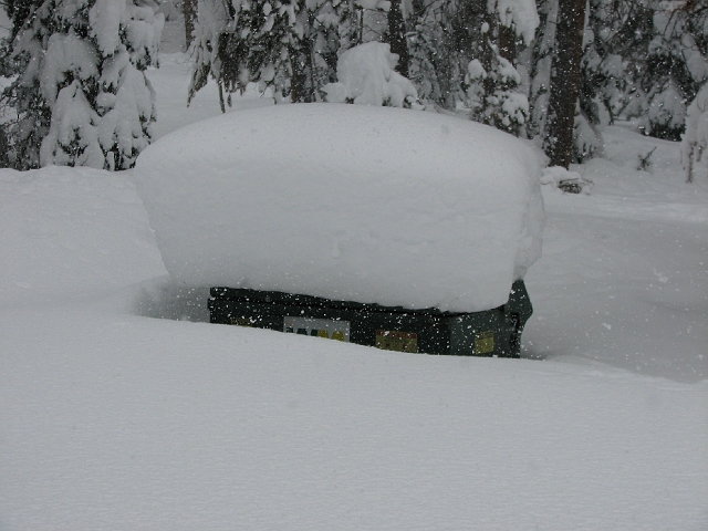 IMG_3206.jpg - dumpster snowed in