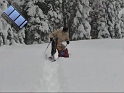 snow_shoe_fall