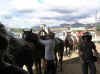 finish horse ride.JPG (67784 bytes)