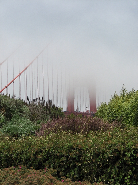 asdf006.jpg - Foggy bridge.