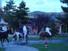 parade1.JPG (48085 bytes)
